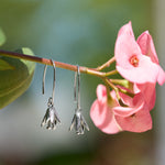 Courtenay_Tulips_Silver_V01