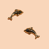 Fortune Dolphin Studs