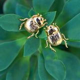 Fortune Beetle Studs