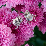 Fortune Beetle Studs