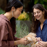 Knot to Be Earrings in Silver