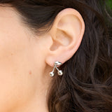 Maraschino Studs