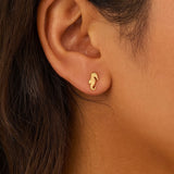 Fortune Seahorse Studs