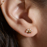 Shimmer Paw Studs