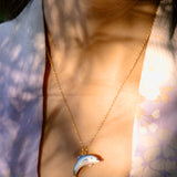 Tiny Dolphin Necklace