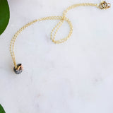 Sooki Grey Tiger Cat