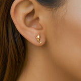 Fortune Dolphin Studs